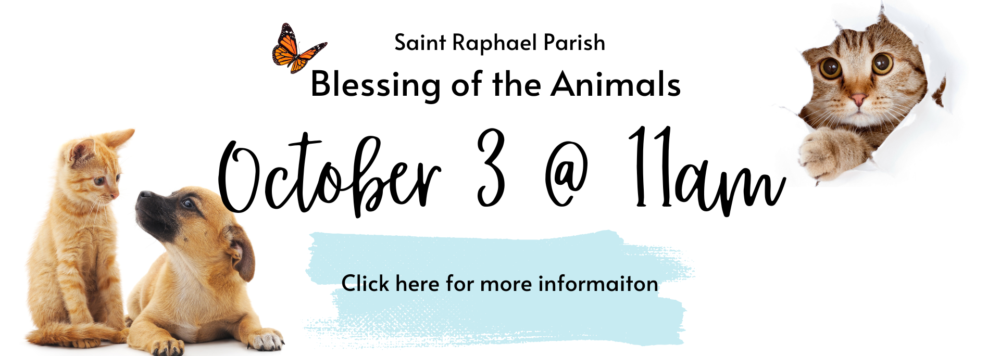 Blessing of the Animals Banner (1)